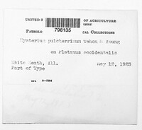 Image Associated With the Occurence